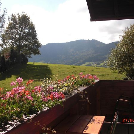 Pension Winter Zell am Moos Exterior foto