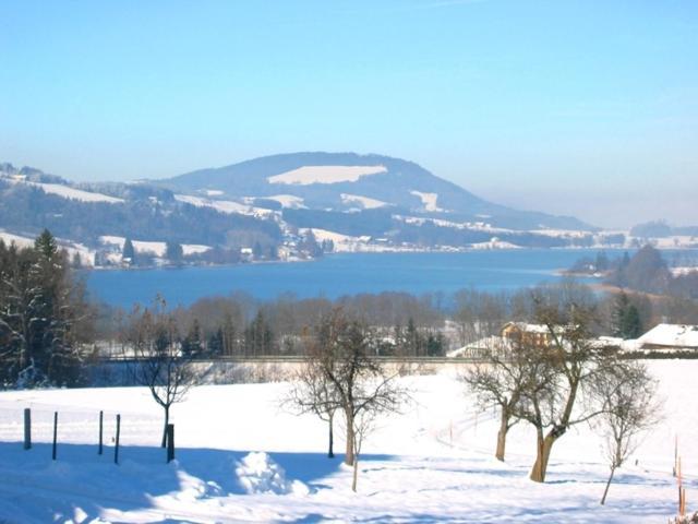 Pension Winter Zell am Moos Exterior foto
